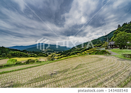 坂織梯田的秋景 坂織梯田的秋景 143488548
