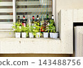 A windowsill lined with wine bottles and herbs 143488756