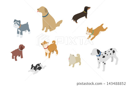等距插圖:一組不同犬種的插圖 等距插圖:一組不同犬種的插圖 143488852