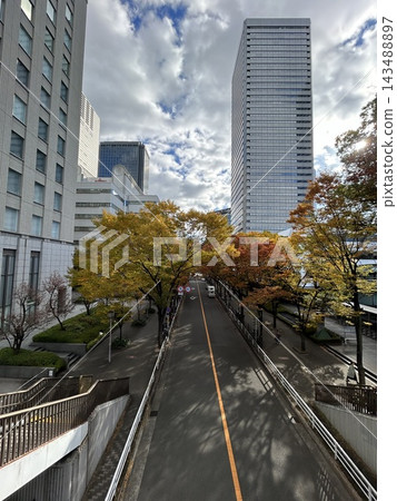 建築物之間的一條綠樹成蔭的街道 建築物之間的一條綠樹成蔭的街道 143488897