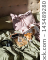 Tired dog sleeping on bed with medication and smartphone in cozy bedroom during morning sunlight. 143489280
