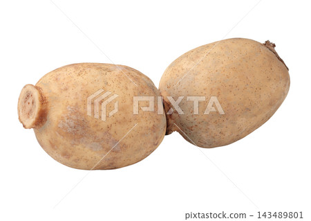 Transparent background image of a single lotus root with its nodes still attached. Transparent background image of a single lotus root with its nodes still attached. 143489801
