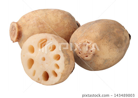 A transparent background image combining a lotus root and a perforated cross-section. 143489803
