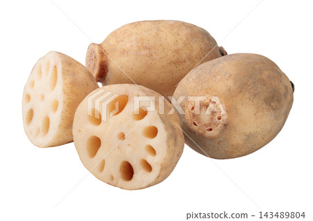 Transparent background image of multiple lotus roots and their perforated cross-sections. Transparent background image of multiple lotus roots and their perforated cross-sections. 143489804