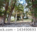 Okinawa, remote island, Tokashiki Island 143490693