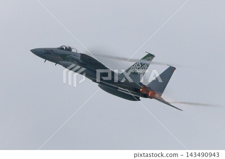 F-15 戰鬥機(侵略者中隊) F-15 戰鬥機(侵略者中隊) 143490943