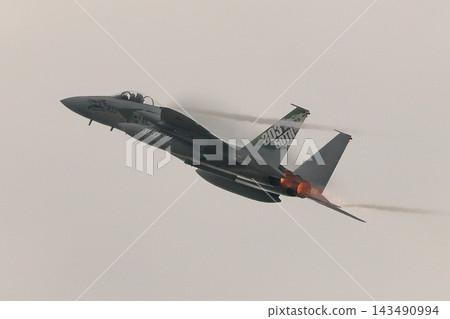 F-15 戰鬥機（侵略者中隊） 143490994