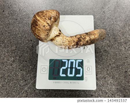 用廚房秤稱量大松茸的重量。 用廚房秤稱量大松茸的重量。 143491537