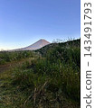 Mt. Fuji seen through the Japanese pampas grass in the morning 143491793
