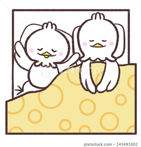 一幅白鳥並排睡覺的插圖。 一幅白鳥並排睡覺的插圖。 143491802