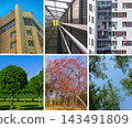 Modern city architecture and green park trees grid collage, urbanization vs nature banner 143491809