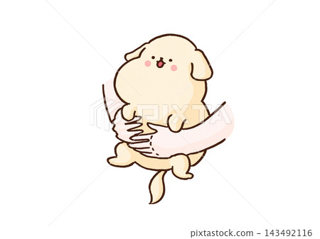 一隻可愛的小狗被抱在懷裡(小狗特寫) 一隻可愛的小狗被抱在懷裡(小狗特寫) 143492116
