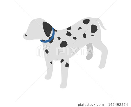 等距插圖：站立的達爾馬提亞犬 143492254