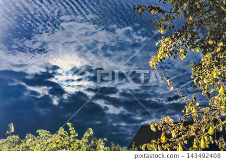 A cloudy sky with streaks of light shows through the clouds while trees are visible in the foreground during the evening 143492408