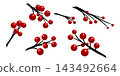 Set of 6 illustrations of branches with red berries - vector material for autumn and winter decorations 143492664