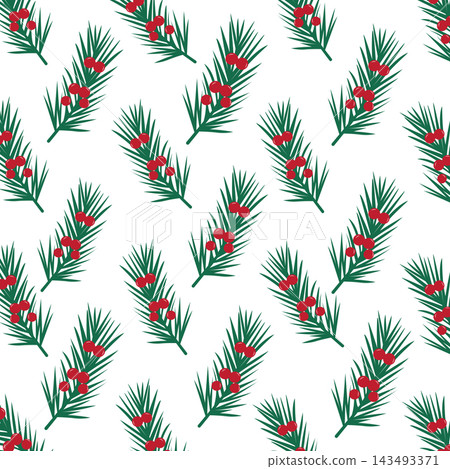 Festive Evergreen Branches and Red Winter Berries pattern 143493371