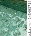 Yellow frangipani flower floats above green pool tiles amid leafy reflections in daylight. 143493714