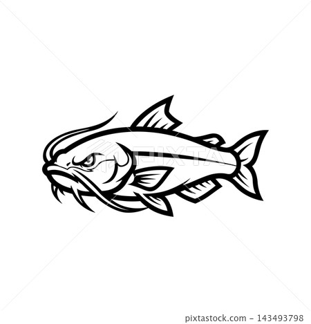catfish mascot logo illustration vector design template simple and modern style catfish mascot logo illustration vector design template simple and modern style 143493798