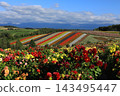 Biei · Four Seasons Ayano no Oka 143495447