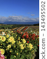 Biei · Four Seasons Ayano no Oka 143495502