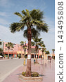 Beautiful colorful tourist street in Egypt lined with palm trees, vibrant shopfronts and inviting outdoor cafes, capturing a lively tropical holiday atmosphere 143495808