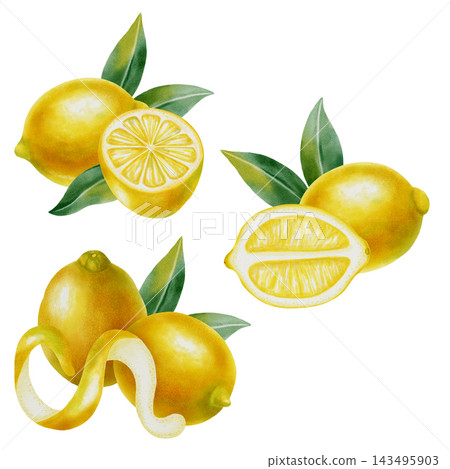 Watercolor set of fresh lemons. Botanical compositions with lemons and leaves. Bright citrus elements for food design, packaging, home decor, and cocktail menus. 143495903