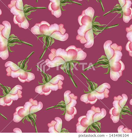 Watercolor seamless pattern with pink rosehip flowers, buds and green leaves. Hand drawn botanical composition for romantic textile, paper packaging, herbal tea, fabric 143496104