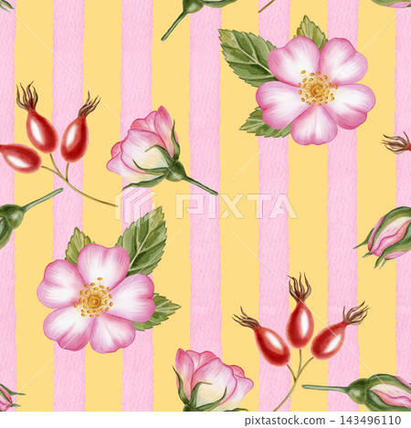 Watercolor seamless pattern with pink rosehip flowers, berries and vertical stripes. Hand drawn cute floral background for baby textile, nursery decor, paper, fabric, packaging, wallpaper, herbal tea Watercolor seamless pattern with pink rosehip flowers, berries and vertical stripes. Hand drawn cute floral background for baby textile, nursery decor, paper, fabric, packaging, wallpaper, herbal tea 143496110