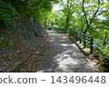 新潟縣糸魚川市的福薩瑪格納公園步道沿著茂密森林的山坡延伸。 143496448