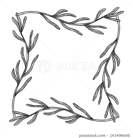 A frame of herbs and flowers for natural cosmetics design. A set of vector illustrations for packaging, advertising, and cosmetics design A frame of herbs and flowers for natural cosmetics design. A set of vector illustrations for packaging, advertising, and cosmetics design 143496698