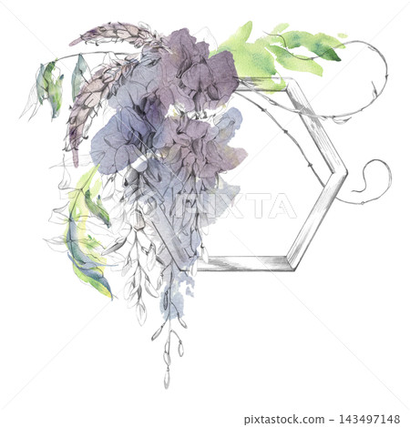 Wisteria flowers, sprouts and leaves on wooden hexagon trellis frame, botanical composition. Hand drawn illustration in pencil and watercolor. Logo design, artisan branding, packaging, invitations. Wisteria flowers, sprouts and leaves on wooden hexagon trellis frame, botanical composition. Hand drawn illustration in pencil and watercolor. Logo design, artisan branding, packaging, invitations. 143497148