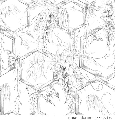 Seamless pattern of flowering wisteria climbing on outdoor wooden hexagon trellis frames, botanical repeat. Hand drawn illustration in graphite pencil. Wallpaper, textiles, wrapping paper, packaging. Seamless pattern of flowering wisteria climbing on outdoor wooden hexagon trellis frames, botanical repeat. Hand drawn illustration in graphite pencil. Wallpaper, textiles, wrapping paper, packaging. 143497150