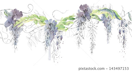 Graceful wisteria branches with hanging flowers, leaves and winding shoots hand drawn in pencil and watercolor. Seamless banner for garden wedding brochures, decorative labels, lifestyle publications. Graceful wisteria branches with hanging flowers, leaves and winding shoots hand drawn in pencil and watercolor. Seamless banner for garden wedding brochures, decorative labels, lifestyle publications. 143497153