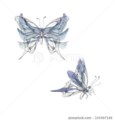Fantasy swallowtail, machaon butterfly with ornate wings, whimsical pastel coloring. Hand drawn illustration in pencil and watercolor. Storybook covers, stationery, decorative prints, magical branding Fantasy swallowtail, machaon butterfly with ornate wings, whimsical pastel coloring. Hand drawn illustration in pencil and watercolor. Storybook covers, stationery, decorative prints, magical branding 143497189