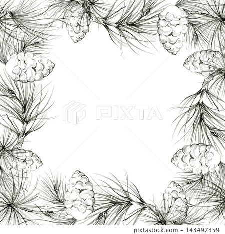 Vintage pine cone ornaments in conifer tree needles, fir, spruce branches botanical illustration hand drawn in pencil, realistic shading. Advent materials, decorative labels, nature craft templates. Vintage pine cone ornaments in conifer tree needles, fir, spruce branches botanical illustration hand drawn in pencil, realistic shading. Advent materials, decorative labels, nature craft templates. 143497359