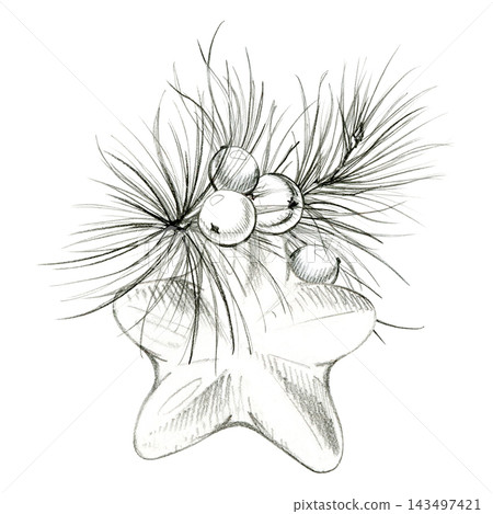 Five point star bauble ornament, pine branch with dense conifer needles, berries. Classic winter holiday composition. Pencil hand drawn sketch. Gift wrap, Xmas greeting cards, invitation decor 143497421