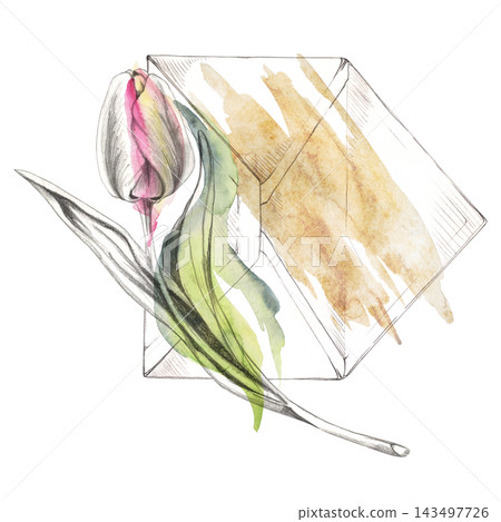 Vintage style envelope with tulip blossom, blade leaves and watercolor petals. Craft paper stationery. Isolated illustration hand drawn in pencil. Love confession cards, planner stickers, gift tags Vintage style envelope with tulip blossom, blade leaves and watercolor petals. Craft paper stationery. Isolated illustration hand drawn in pencil. Love confession cards, planner stickers, gift tags 143497726