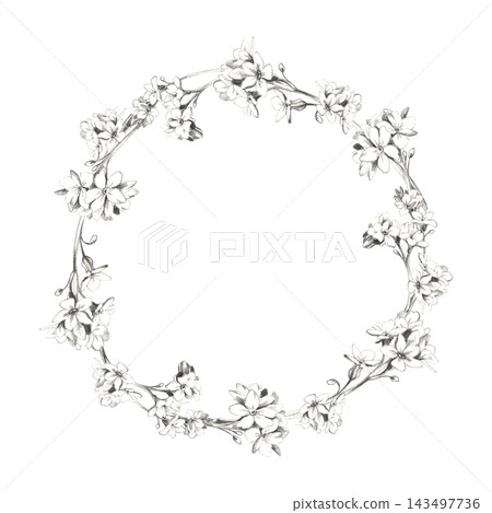 Small forget-me-not, alkanet flowers in floret clusters on thin curved stems. Botanical illustration hand drawn in gentle pencil outlines. Floral wreath frame for wedding crests, florist shop cards. Small forget-me-not, alkanet flowers in floret clusters on thin curved stems. Botanical illustration hand drawn in gentle pencil outlines. Floral wreath frame for wedding crests, florist shop cards. 143497736