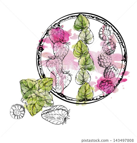 Berry smoothie bowl with raspberry, sliced strawberry and mint leaves stripes. Isolated ink illustration hand drawn in watercolor. Dessert menu cards, berry festival posters, fruit marketing visuals Berry smoothie bowl with raspberry, sliced strawberry and mint leaves stripes. Isolated ink illustration hand drawn in watercolor. Dessert menu cards, berry festival posters, fruit marketing visuals 143497808