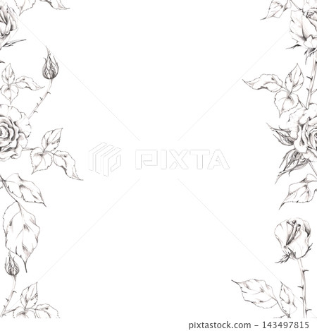 Vintage rose, gardenia flowers, lisianthus buds, camellia leaves hand drawn in pencil, charcoal soft shading. Decorative floral banner for Valentine cards, wedding websites, romantic blog graphics. Vintage rose, gardenia flowers, lisianthus buds, camellia leaves hand drawn in pencil, charcoal soft shading. Decorative floral banner for Valentine cards, wedding websites, romantic blog graphics. 143497815