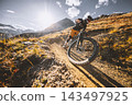 Mountain biker riding down a steep rocky alpine trail with dramatic mountains and a turquoise lake below, captured in warm sunlight during an adventurous high altitude descent ride. 143497925