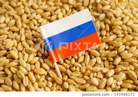 Russia flag on grain wheat, trade export and economy. Russia flag on grain wheat, trade export and economy. 143498172