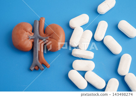 Kidney human model with pill drug treatment. Kidney human model with pill drug treatment. 143498274