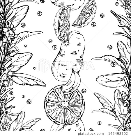 Potato, lemon slices, peppercorns herbs and spices, aromatic leaves, edible roots, fresh fruits and seasoning ingredients varied culinary collection. Isolated vector ink hand drawn seamless pattern. Potato, lemon slices, peppercorns herbs and spices, aromatic leaves, edible roots, fresh fruits and seasoning ingredients varied culinary collection. Isolated vector ink hand drawn seamless pattern. 143498502