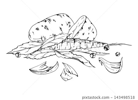 Cut potato tubers, carrot, onion peels, bay laurel leaves and peppercorns fresh vegetables, herbs and aromatic spices. Isolated hand drawn vector ink illustration. Jar labels, ready soup packaging Cut potato tubers, carrot, onion peels, bay laurel leaves and peppercorns fresh vegetables, herbs and aromatic spices. Isolated hand drawn vector ink illustration. Jar labels, ready soup packaging 143498518