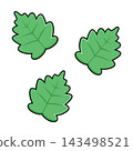 Cartoon Leaves Flat Design on White Background 143498521