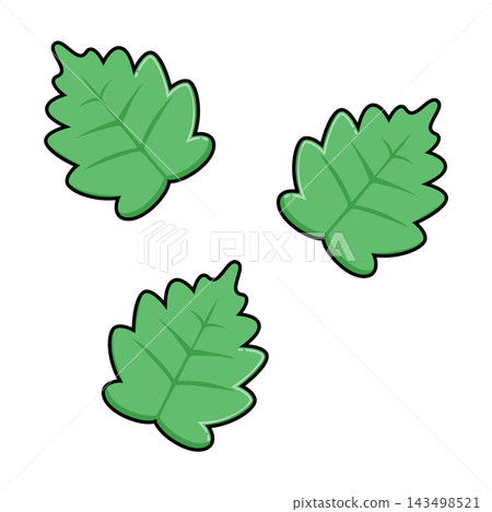 Cartoon Leaves Flat Design on White Background Cartoon Leaves Flat Design on White Background 143498521