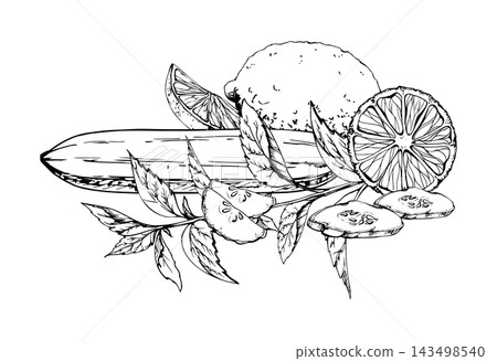Cucumber, lemon and mint leaves, refreshing mojito ingredients, seasonal produce, summer harvest. Isolated hand drawn vector ink illustration. Frozen food packaging, meal kits, organic food branding Cucumber, lemon and mint leaves, refreshing mojito ingredients, seasonal produce, summer harvest. Isolated hand drawn vector ink illustration. Frozen food packaging, meal kits, organic food branding 143498540