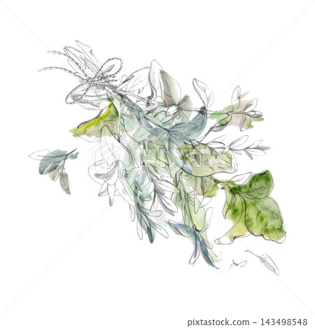 Herb bundle with twine bow, fresh and dried culinary aromatic plants and harvested garden seasonings, rustic handmade appearance. Isolated hand drawn pencil and watercolor illustration craft tutorials Herb bundle with twine bow, fresh and dried culinary aromatic plants and harvested garden seasonings, rustic handmade appearance. Isolated hand drawn pencil and watercolor illustration craft tutorials 143498548