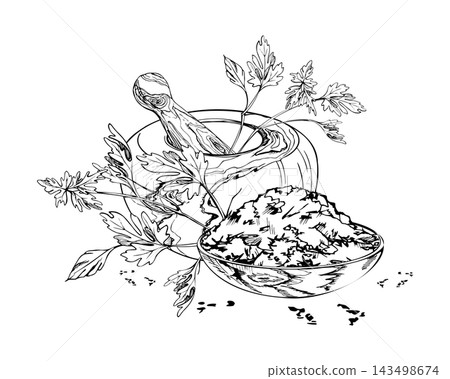 Parsley or cilantro crushed dried mixed herbs in shallow wooden bowl, mortar and pestle. Botanical seasonings. Isolated hand drawn vector ink illustration. Herbal remedy books, apothecary labels Parsley or cilantro crushed dried mixed herbs in shallow wooden bowl, mortar and pestle. Botanical seasonings. Isolated hand drawn vector ink illustration. Herbal remedy books, apothecary labels 143498674